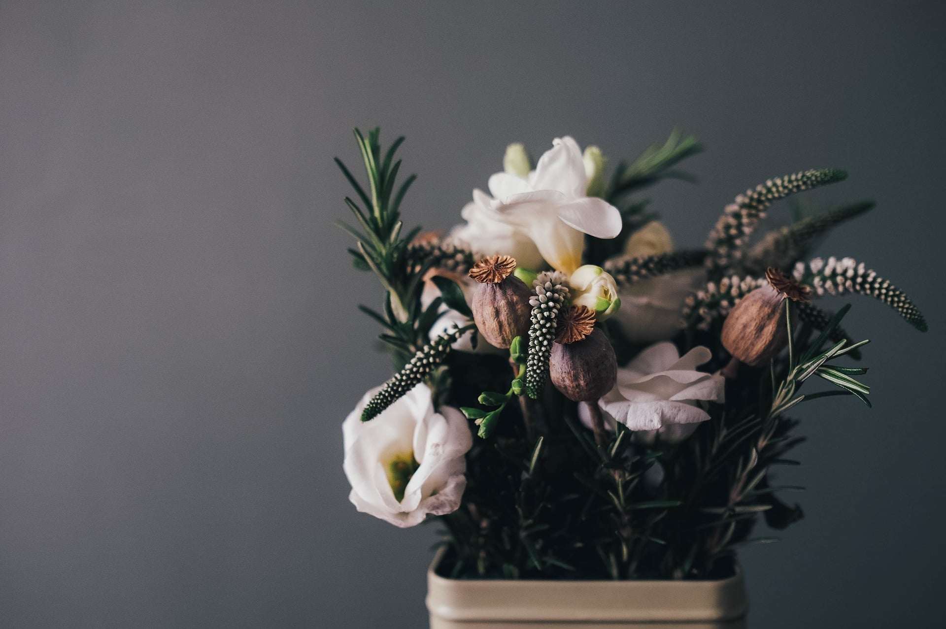 Floristics
