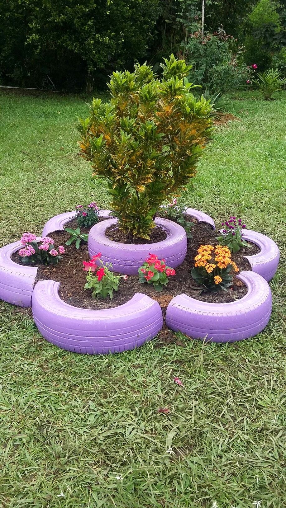 Красивая клумба из крашенных шин