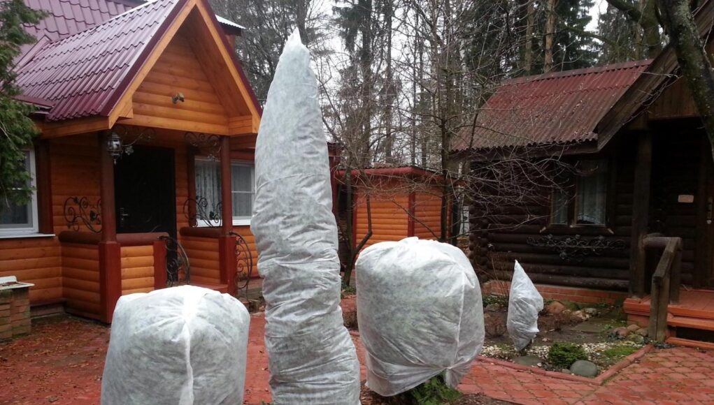 зимовка